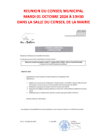 REUNION DU CONSEIL MUNICIPAL – AFFICHE 2024.10.01