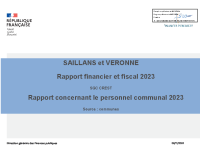 RAPPORT COMMUNE NOUVELLE