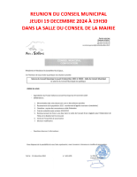 REUNION DU CONSEIL MUNICIPAL 2024.12.19