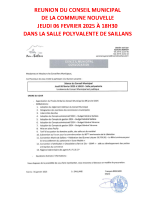 REUNION DU CONSEIL MUNICIPAL – 2025.02.06