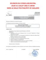 REUNION DU CONSEIL MUNICIPAL – AFFICHE 2025.07.31