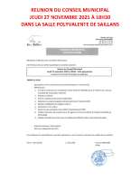 REUNION DU CONSEIL MUNICIPAL – AFFICHE 2025.11.27